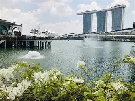 50 Unique Things To Do In Singapore: The World's .